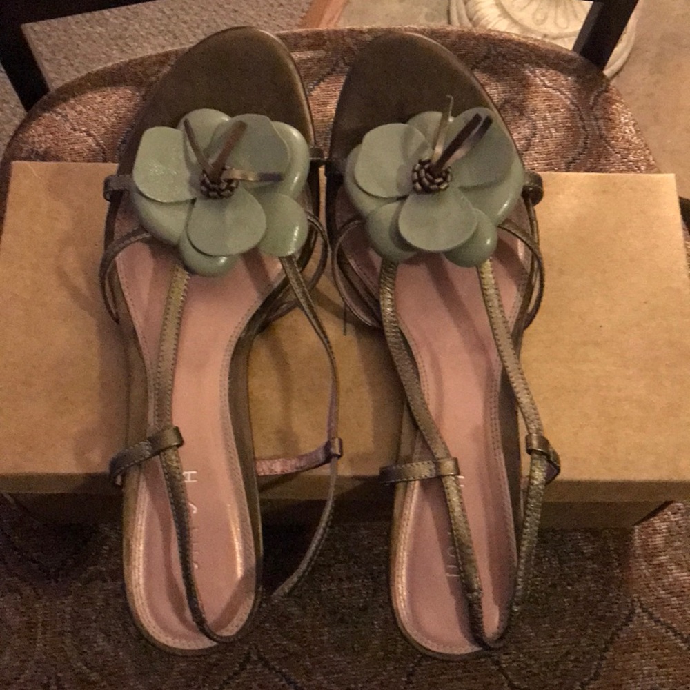 UNISA Bronze & Green